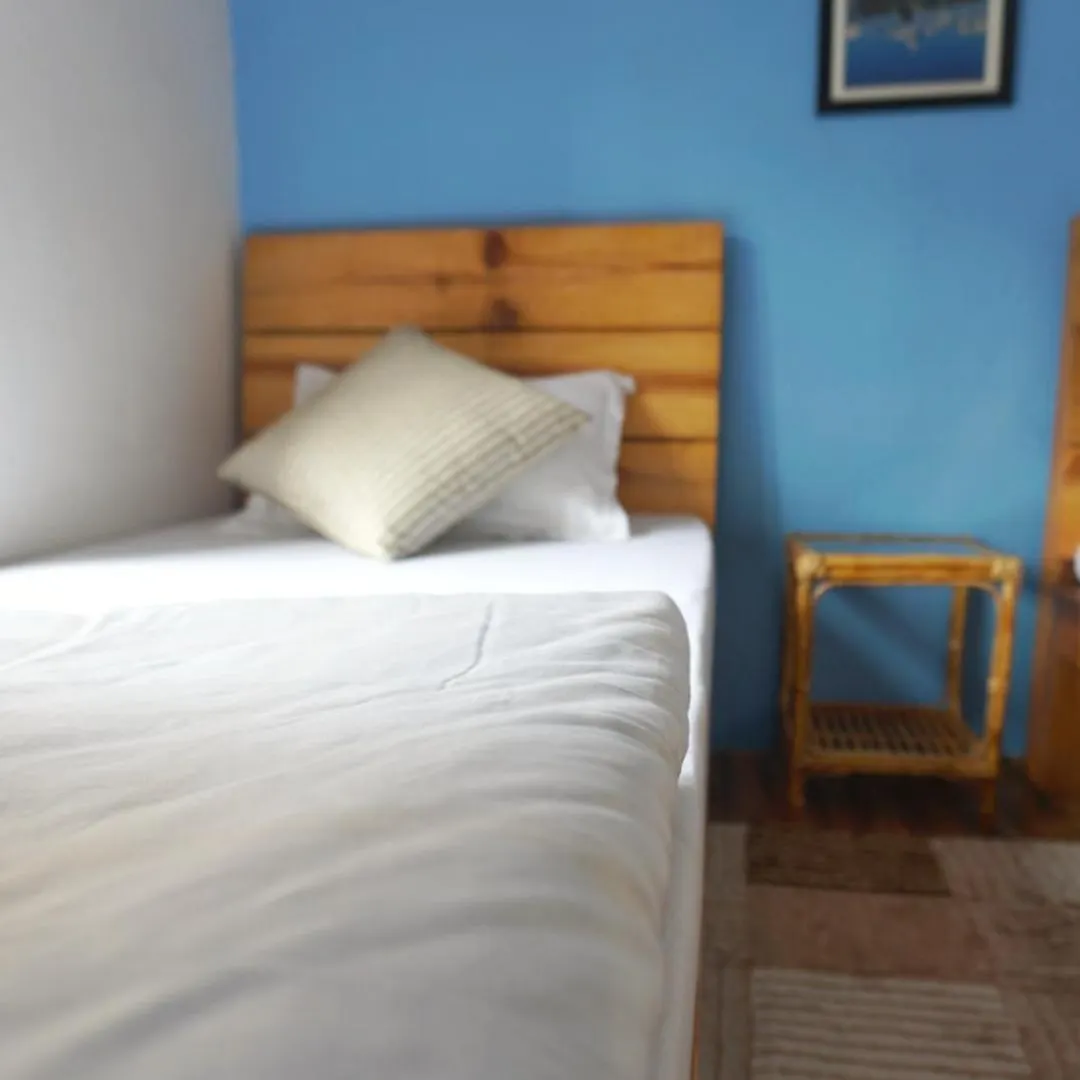 Jhigu Homestay Patan 카트만두 네팔